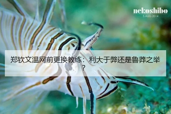郑钦文温网前更换教练：利大于弊还是鲁莽之举？
